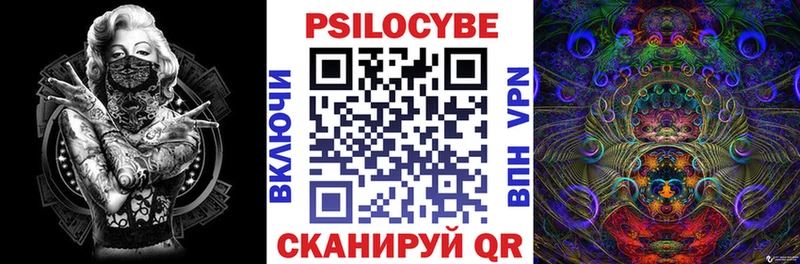 Псилоцибиновые грибы Psilocybe как найти наркотики Чудово